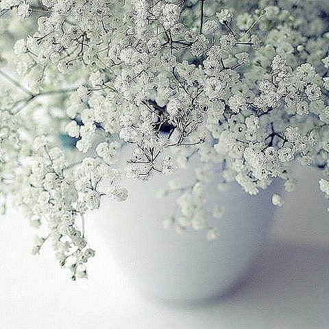 Анна Данилина