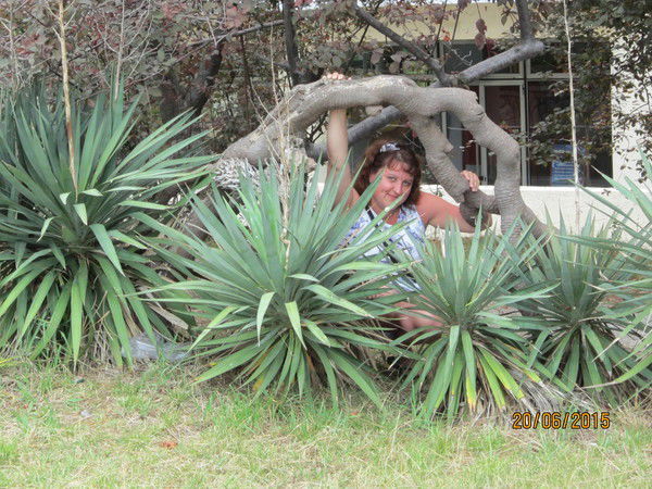 Екатерина Сутягина