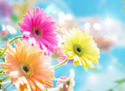 Лариса Фатеева