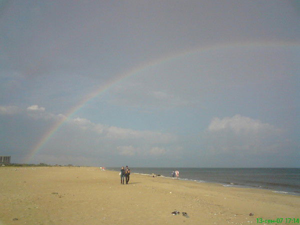 Александра Недина