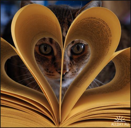 Ирина Вишневская