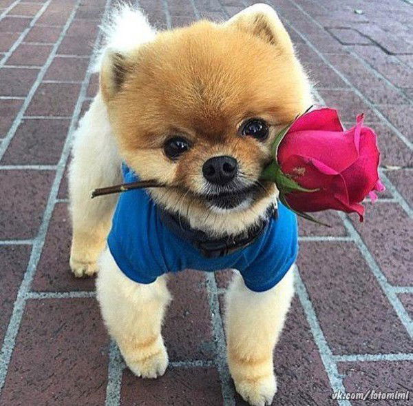 Анна Кочергина