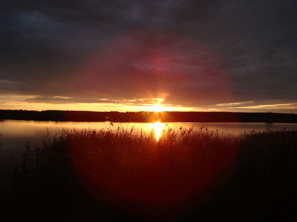 Алексей Шатохин