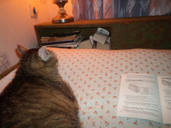 Надежда Боженюк