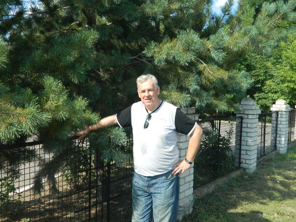 Анатолий Мокиенко