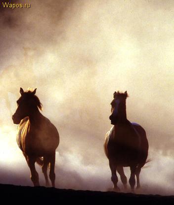 Ербол Алдибеков