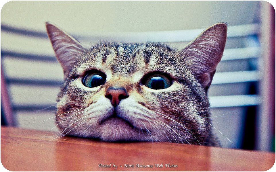 Анатолий Чернов