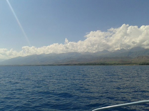 Махаббат Мм