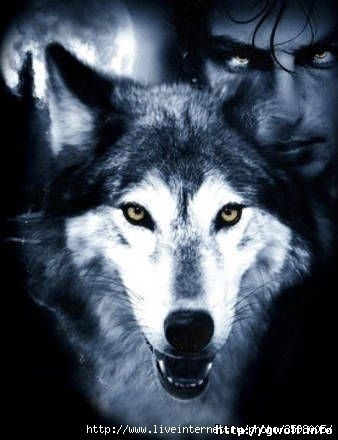 Павел Нестеренко