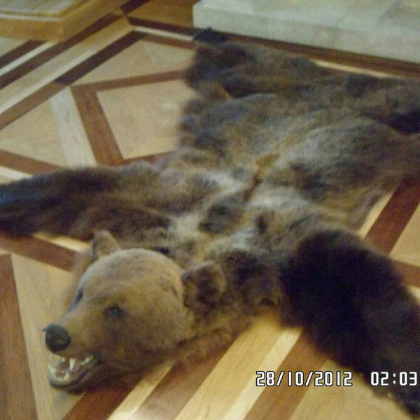 Валера Реут