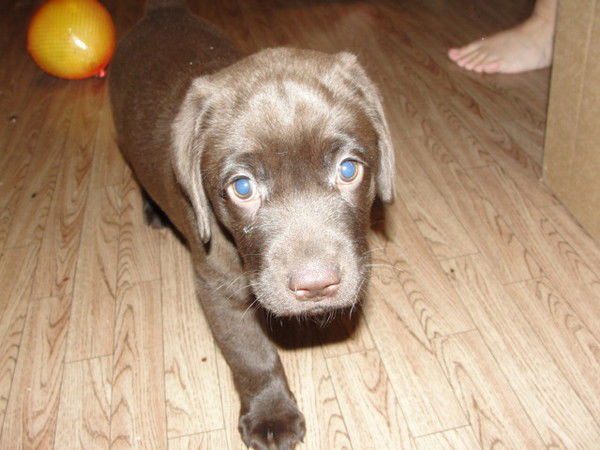 Нора Манькина