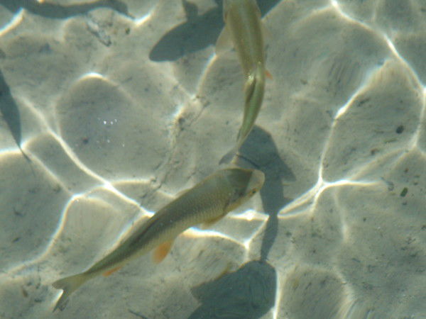 Галина Андреева