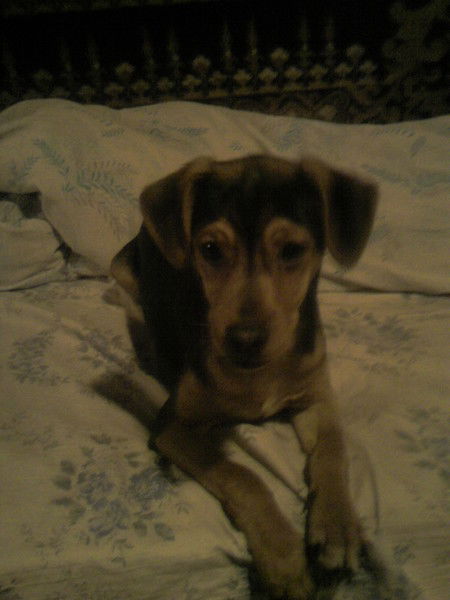 Вадим Романов