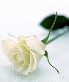 Ольга Абрамова