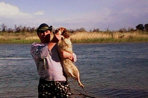 Андрей Стрельцов