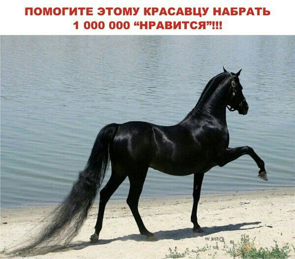 Абдилатов Абдыгапар