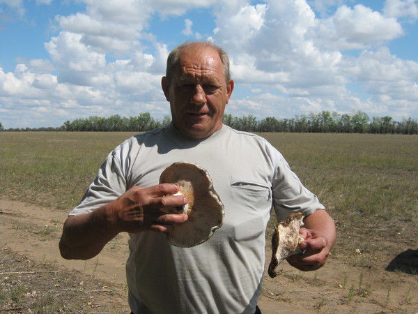 Сергей Лисин