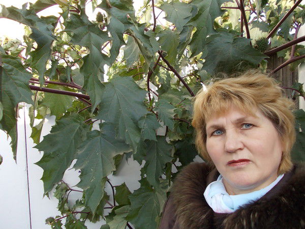 Анна Шаренкова