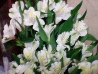 Альбина Демина