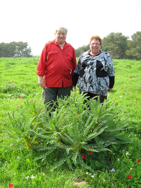 Нина Привальнева