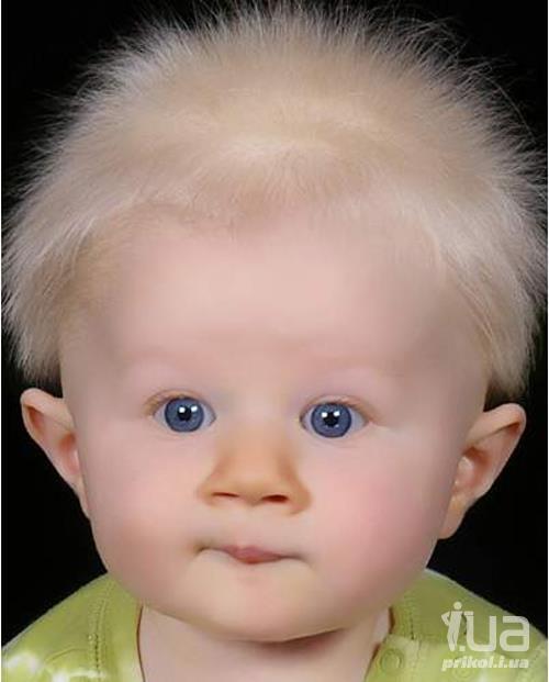 Сергей Голубин