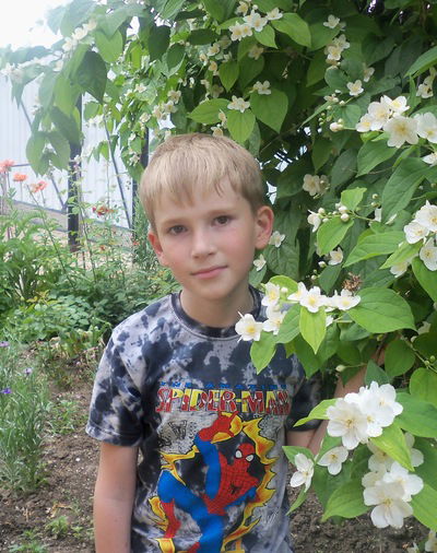 Данила Скрипка