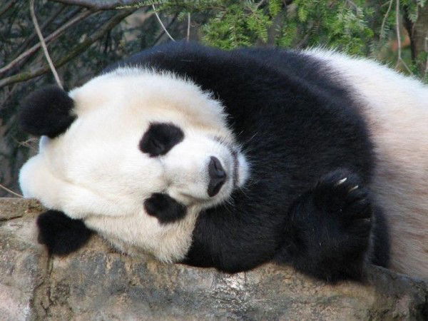 Мария Карпова