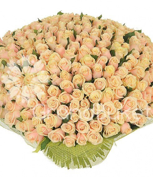 Историко-Краеведческий Музей Бухгалтерия