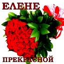Елена Колотницкая
