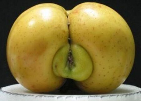 Незнакомка Незнакомка