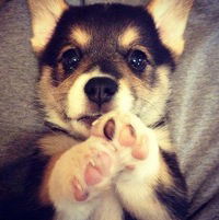 Аружан Койгельдина