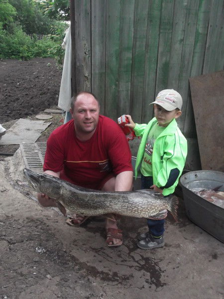 Дмитрий Быков