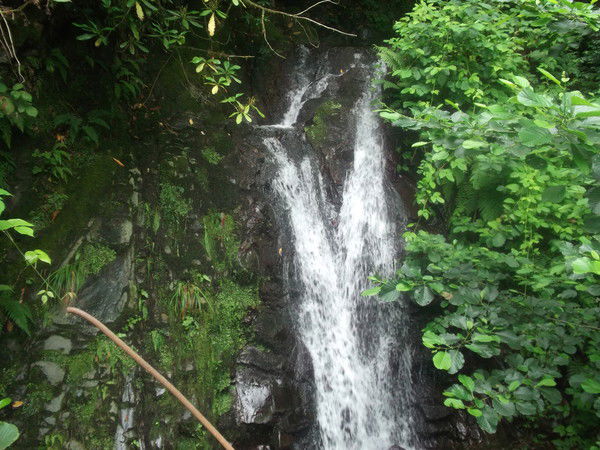 Татьяна Циценко