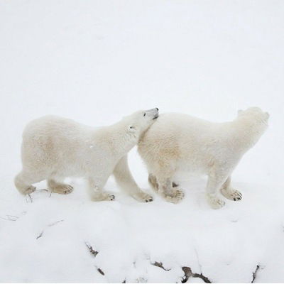 Ксюша Прозорова