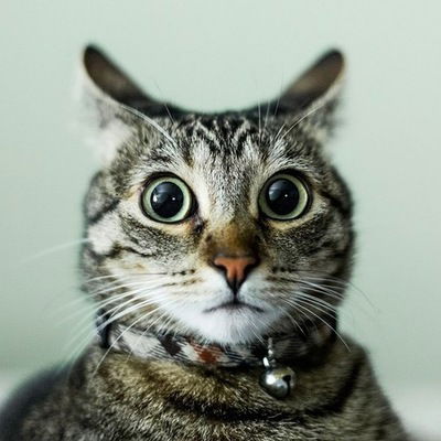 Александр Сливинский