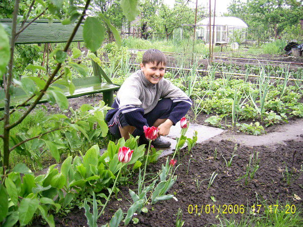 Антон Корнеев