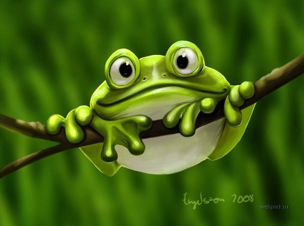 Даша Хаатая