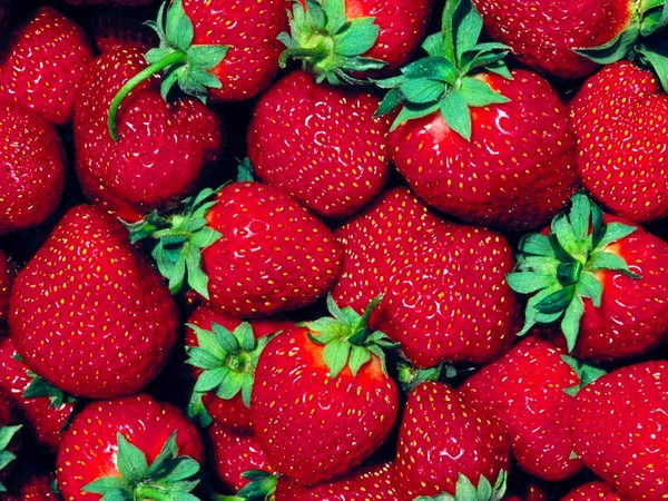 Салтанат Нурмаганбетова