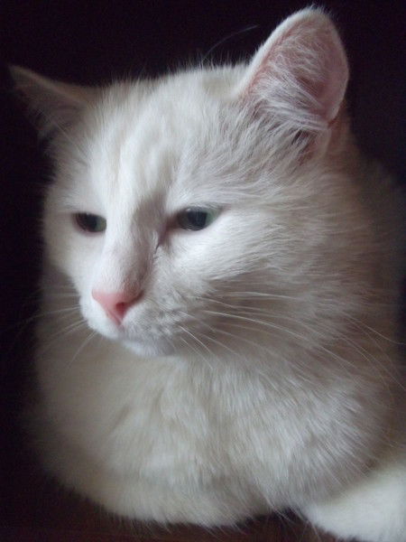 Марха Хулагова