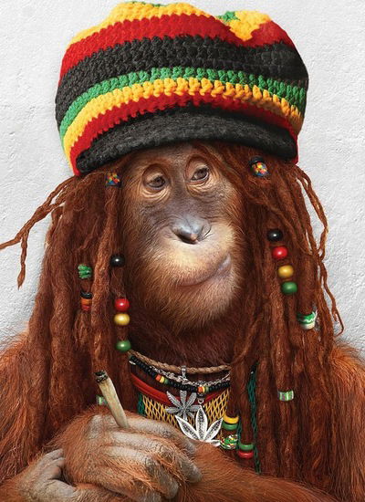 Вадим Соколов