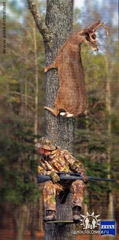 Игорь Бозов