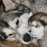 Віта Бондаренко