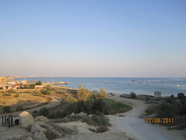 Ольга Ольга