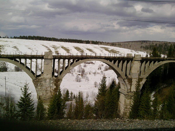 Ведана Зубович