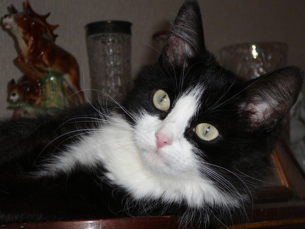 Юлия Наумова