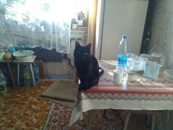 Максим Гуляев