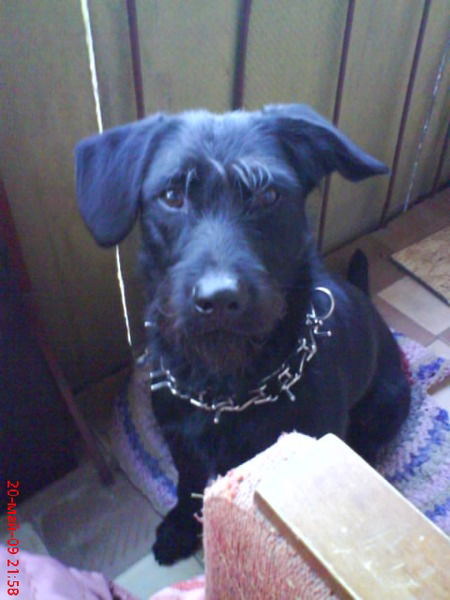 Виктор Богданов