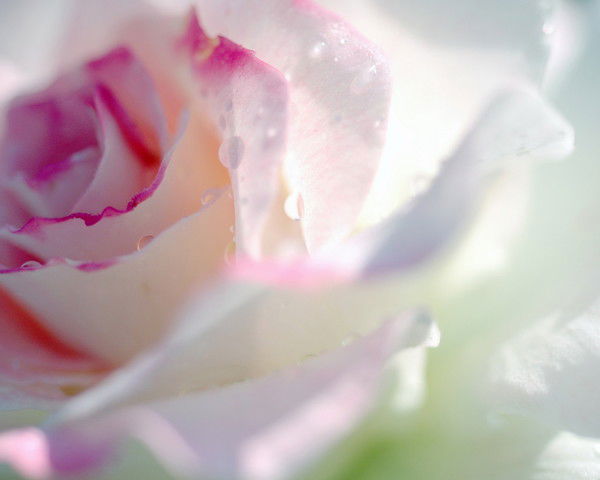 Лаура Сартбаева