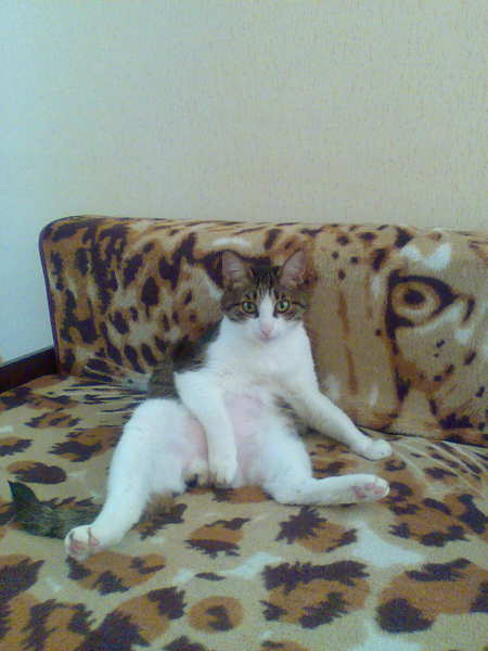 Екатерина Суетина