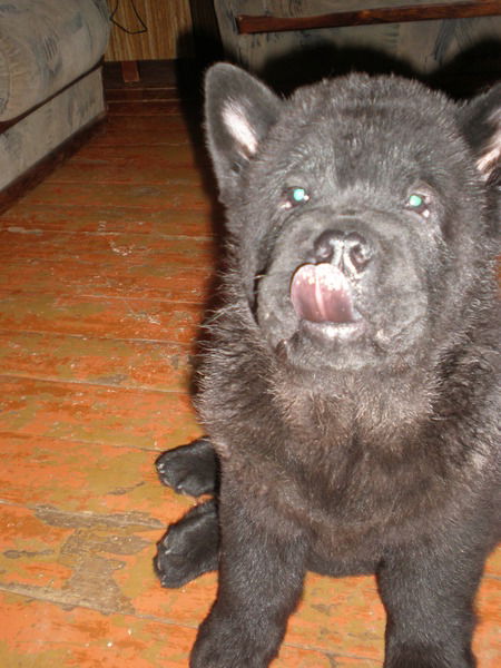 Андрей Польников